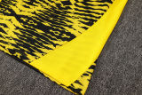2025/26 BVB  Yellow Vest Training Jersey(A Set)