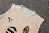 2025/26 AC  Apricot  Vest Training Jersey(A Set)