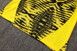 2025/26 BVB  Yellow Vest Training Jersey(A Set)