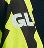2025 BVB Special Edition Fans Long Sleeve Soccer Jersey