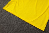 2025/26 BVB  Yellow Training Jersey(A Set)