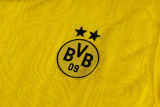 2025/26 BVB  Yellow Training Jersey(A Set)