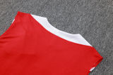 2025/26 PSG Red Vest Training Jersey(A Set)