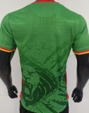 2025/26 Cameroon Home Green Player Version Soccer Jersey