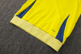 2025/26 AA Yellow Hoody Thickened Fluff Zipper Jacket Tracksuit