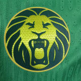 2025/26 Cameroon Home Green Player Version Soccer Jersey