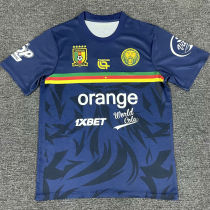 2025/26 Cameroon Training Soccer Jersey