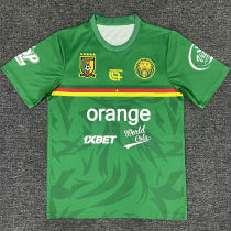 2025/26 Cameroon Training Soccer Jersey