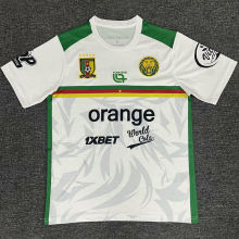 2025/26 Cameroon Training Soccer Jersey