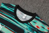 2025/26  Portugal Grenn Vest Training Jersey(A Set)