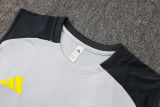 2025/26  Benfica Grey Vest Training Jersey(A Set)