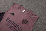 2025/26  ARS Grey Purple Vest Training Jersey(A Set)