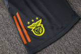 2025/26 Benfica White Training Jersey(A Set)
