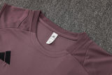 2025/26  ARS Grey Purple Vest Training Jersey(A Set)