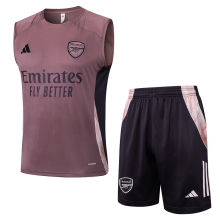 2025/26  ARS Grey Purple Vest Training Jersey(A Set)