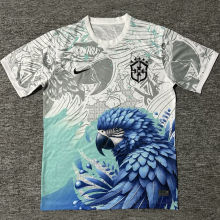 2025 Brazil Special Edition Fans Soccer Jersey