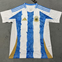 2025 Argentina Special Edition  Fans Soccer Jersey