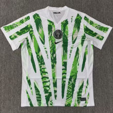 2025/26 Nigeria Home Fans Soccer Jersey