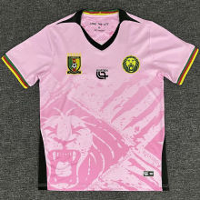 2025/26 Cameroon Training Soccer Jersey