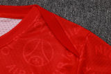 2025/26 PSG Red Training Jersey(A Set)喷墨