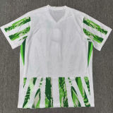 2025/26 Nigeria Home Fans Soccer Jersey
