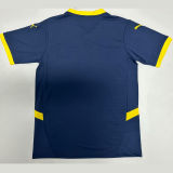 2025 Fenerbahce Special Edition Fans Soccer Jersey 费内巴切