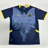 2025 Fenerbahce Special Edition Fans Soccer Jersey 费内巴切