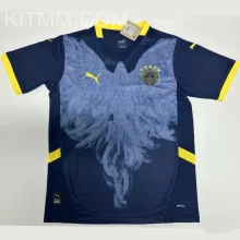 2025 Fenerbahce Special Edition Fans Soccer Jersey 费内巴切