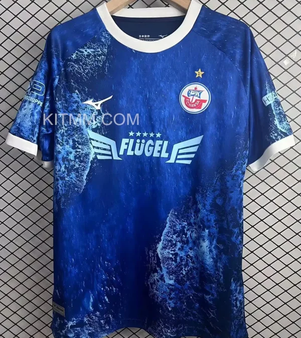 2025 Hansa Rostock Special Edition Fans Soccer Jersey