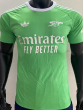 2025/26 ARS Green GK Player Version Soccer Jersey