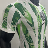2025/26 Nigeria Home Player Version Soccer Jersey