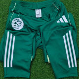 2025/26 Algeria Green Sports Trousers 绿色