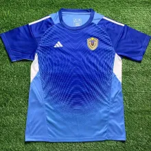 2025/26 Venezuela Blue GK Fans Soccer Jersey