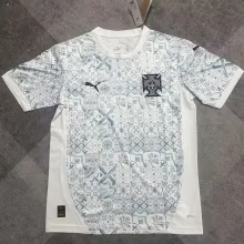 2025/26 Portugal Portugal x Iv Fans Soccer Jersey  彪马