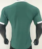 2025/26 Plymouth Argyle Home Green Player Version Soccer Jersey