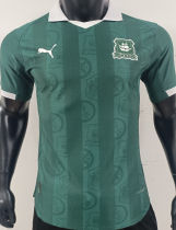 2025/26 Plymouth Argyle Home Green Player Version Soccer Jersey