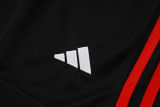 2025/26 Flamengo Vest Training Jersey(A Set)