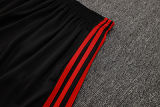 2025/26 Flamengo Vest Training Jersey(A Set)