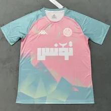 2025 Tunisia Special Edition Fans Soccer Jersey  突尼斯