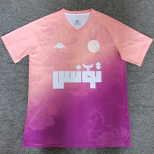 2025 Tunisia Special Edition Fans Soccer Jersey  突尼斯