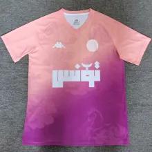 2025 Tunisia Special Edition Fans Soccer Jersey  突尼斯