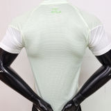 2025/26 Algeria Special Edition Player Version Jersey 浅绿色