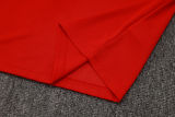 2025/26 Flamengo Red Training Jersey(A Set)