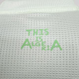 2025/26 Algeria Special Edition Player Version Jersey 浅绿色