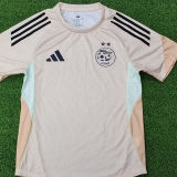 2025/26 Algeria Special Edition Player Version Jersey 卡其色