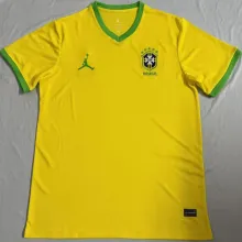 2025/26 Brazil Special Edition Fans Soccer Jersey