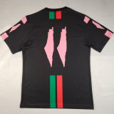2025/26 FC Palestine Special Edition Fans Soccer Jersey  阿拉伯字 背后带11