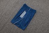 2025/26 AD Blue Training Jersey(A Set)