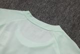2025/26 AD Light Green Training Jersey(A Set)