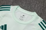 2025/26 AD Light Green Training Jersey(A Set)